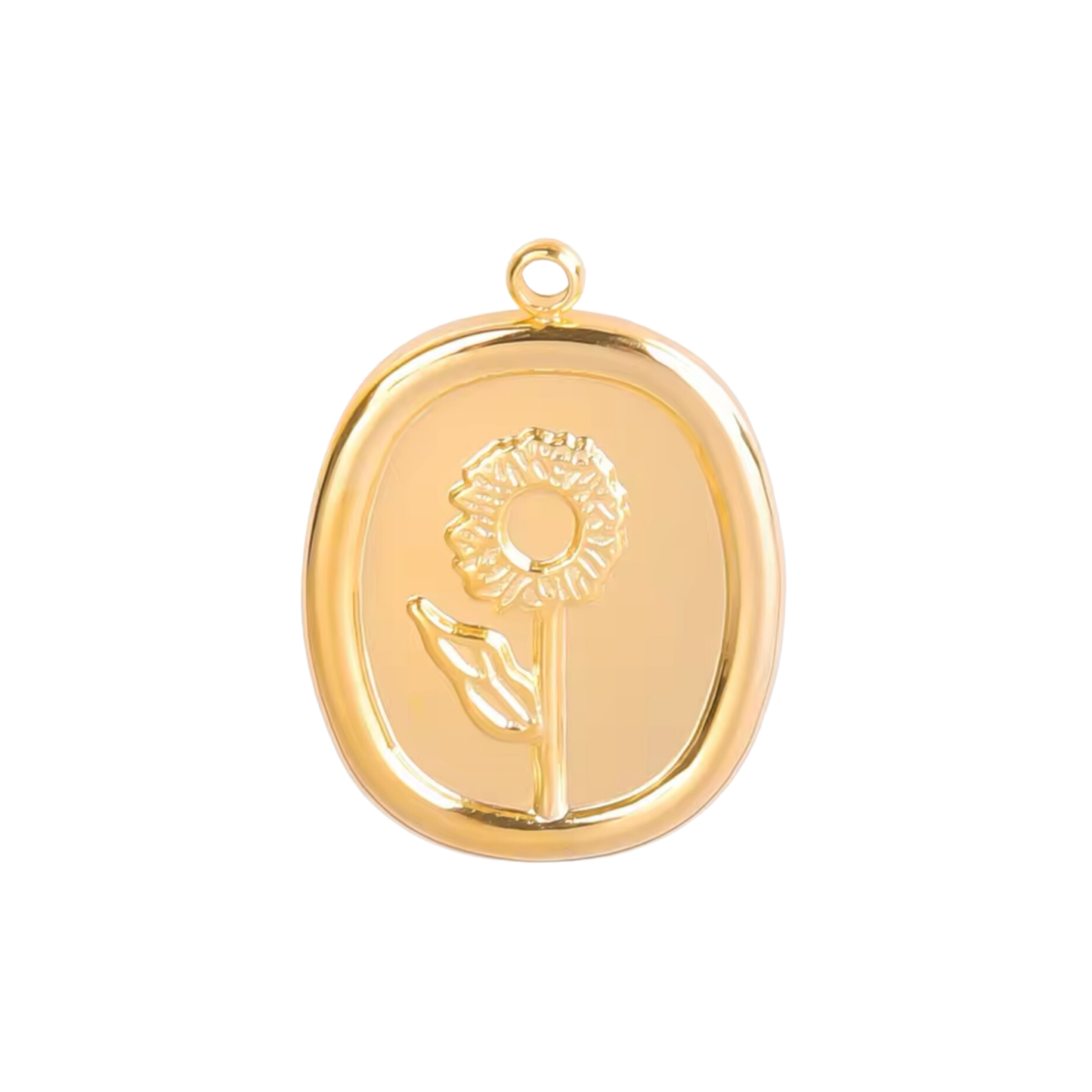 Charms Necklaces l