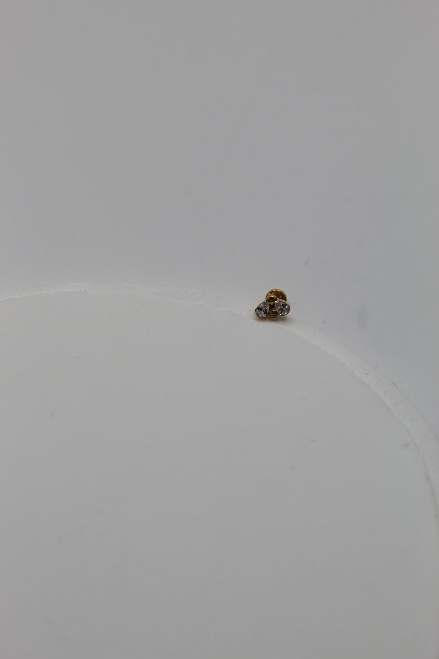 Pieza #4: Abeja Titanio