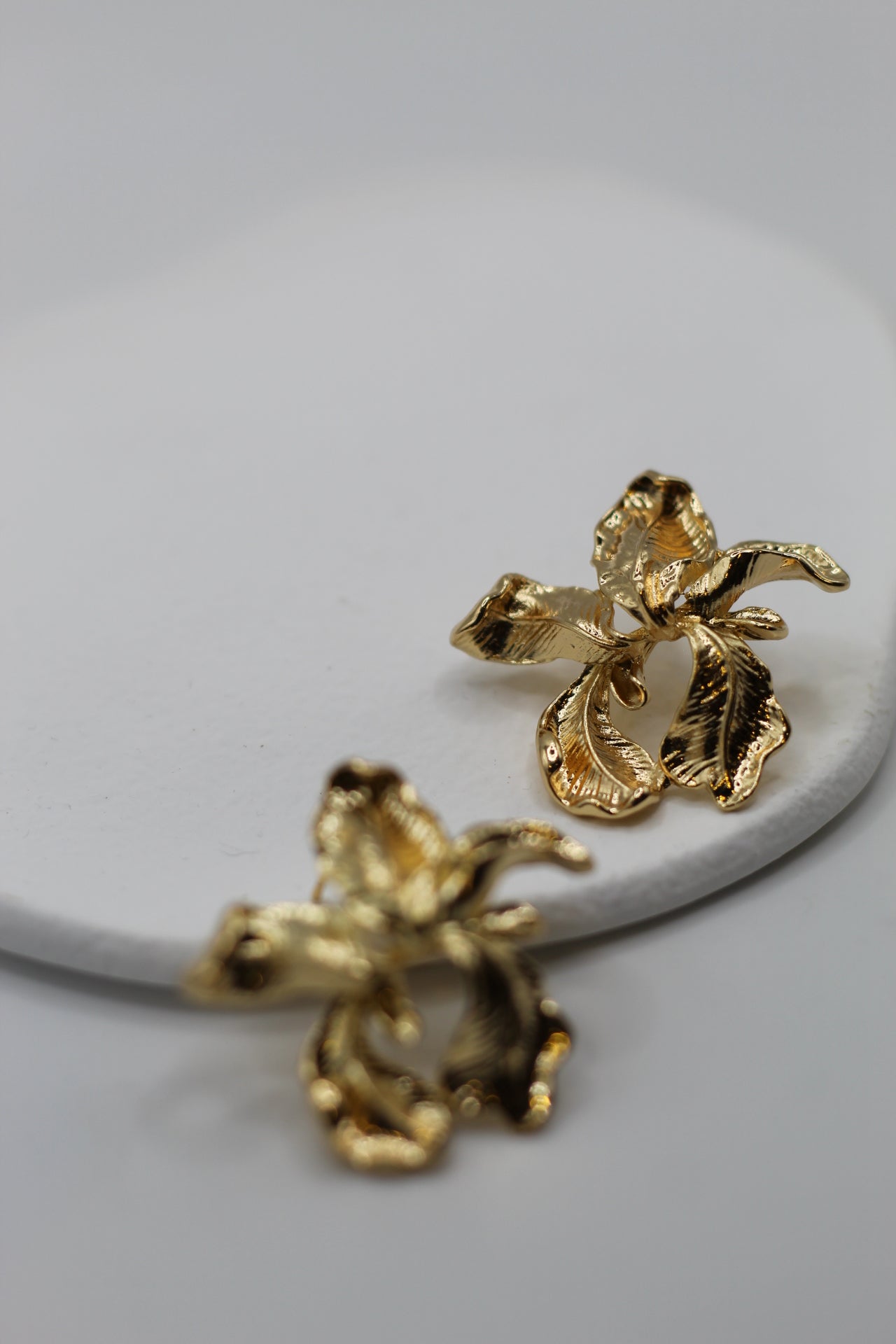 Pendientes Fani