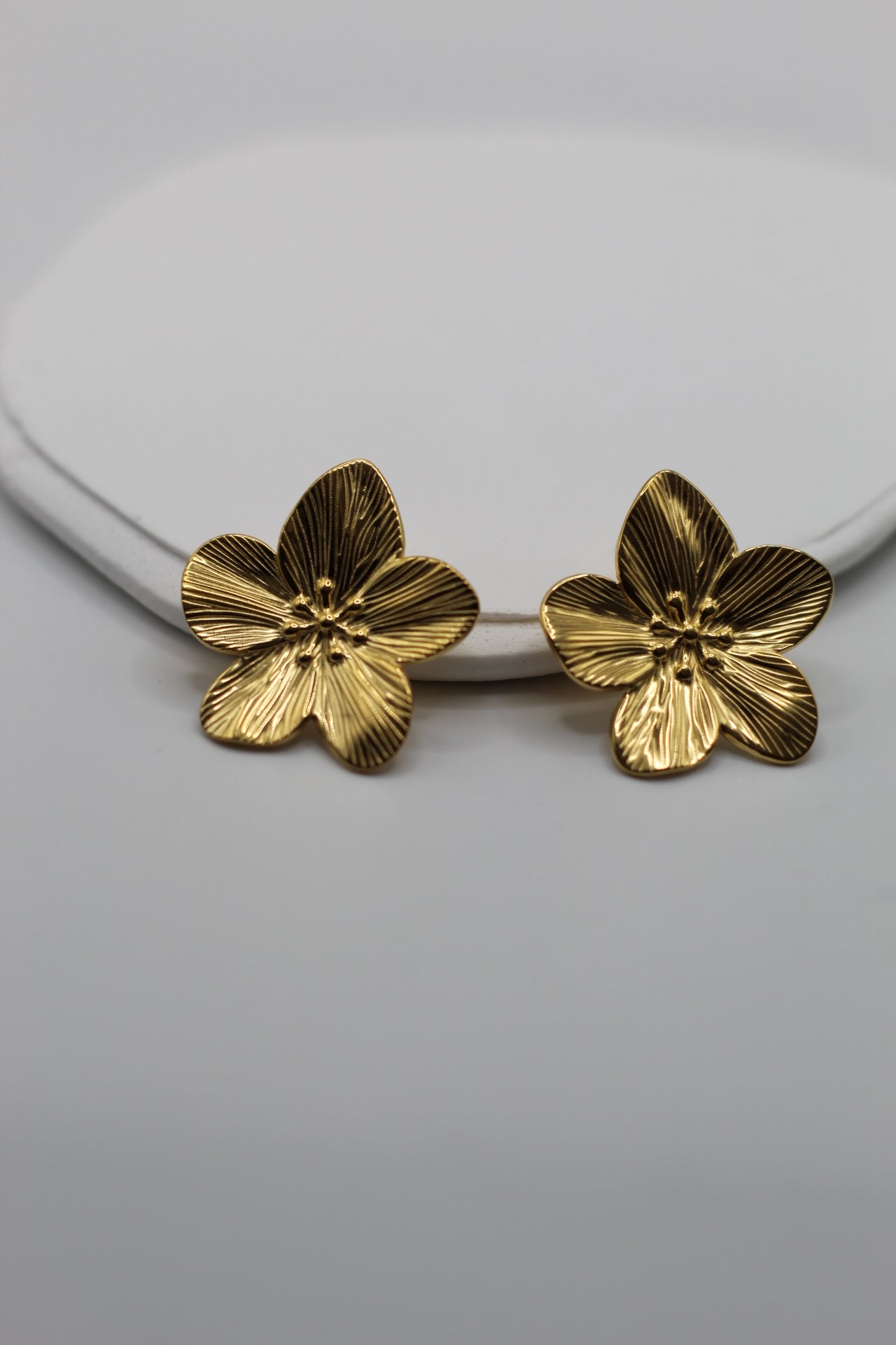 Pendientes Anette