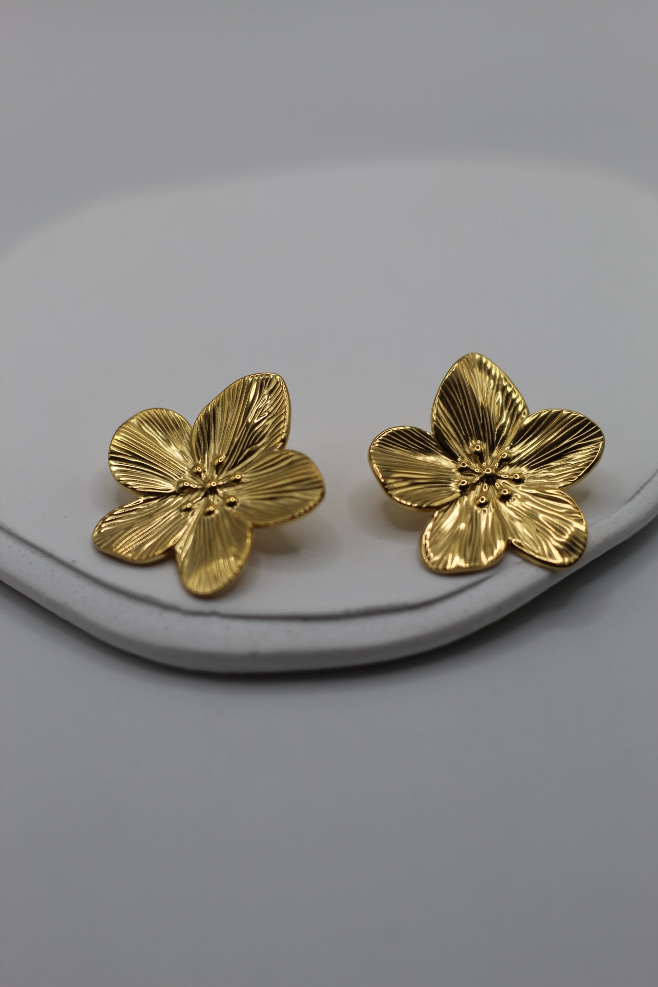 Pendientes Anette
