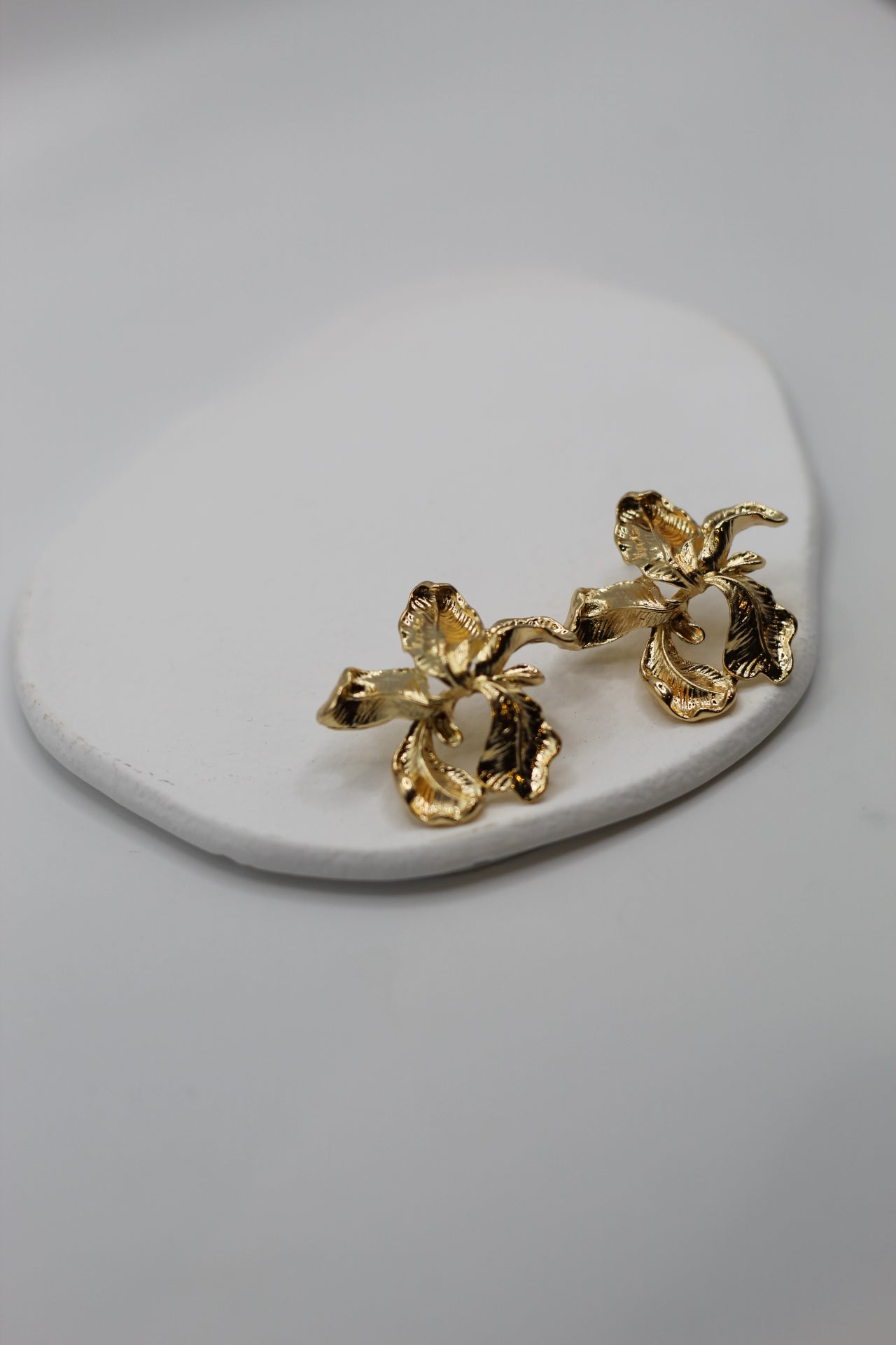 Pendientes Fani