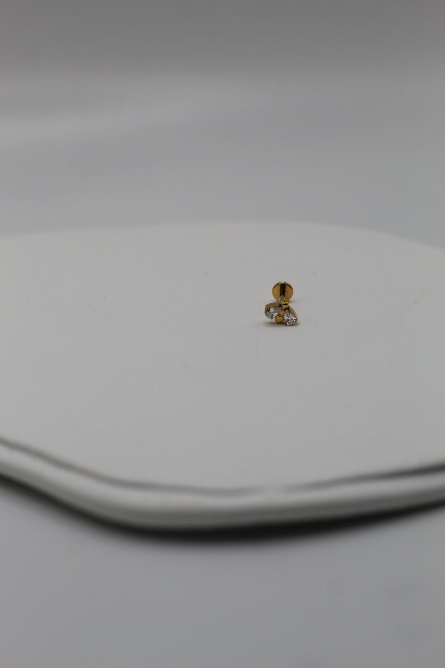Pieza #4: Abeja Titanio