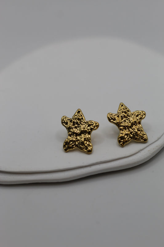 Estrellas de Mar