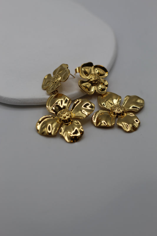 Pendientes Dariana