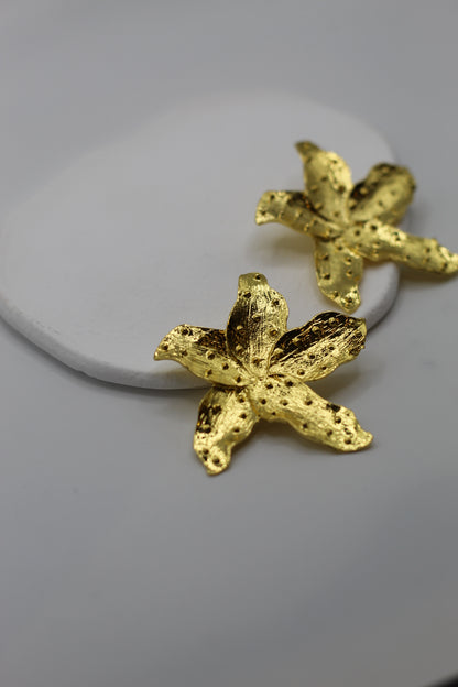 Pendientes Isabel