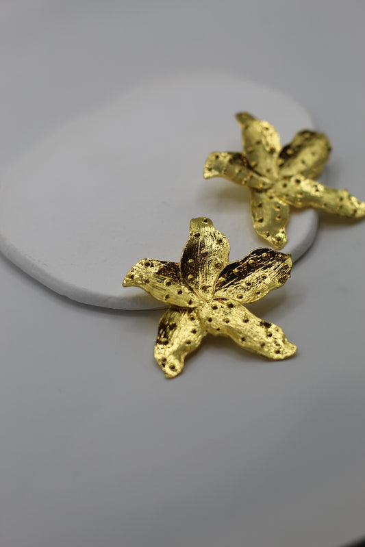 Pendientes Isabel