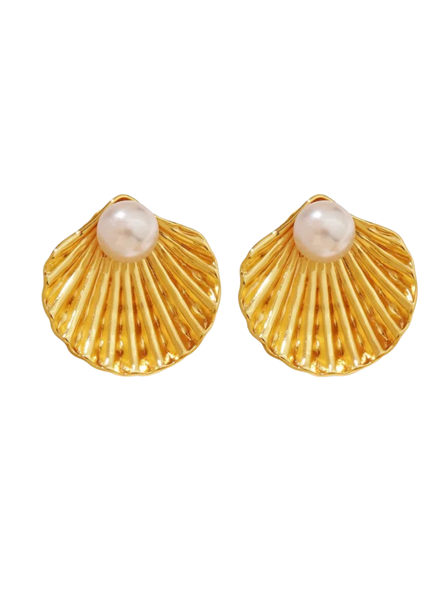 Pendientes Concha