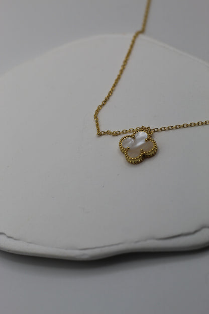 Collar VC