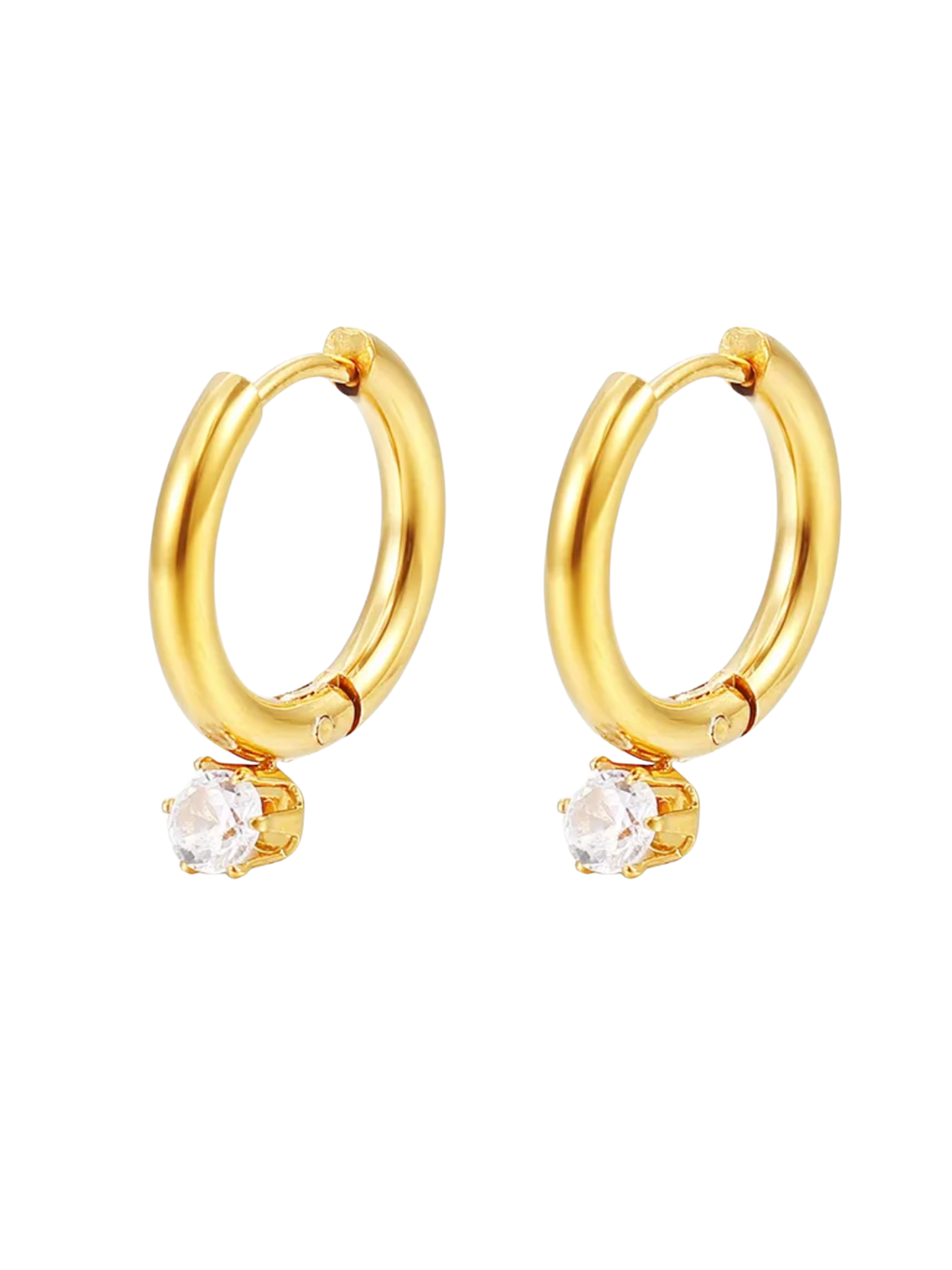 Pendientes Fernanda