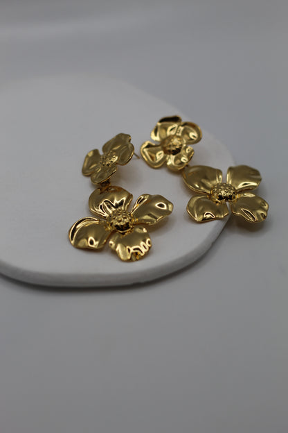 Pendientes Dariana