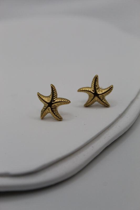 Estrella de Mar