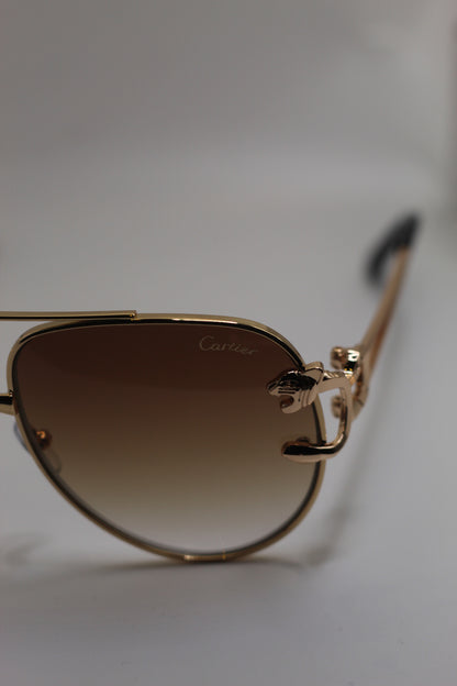 Lentes Carter