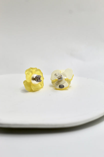 Pendientes Ch