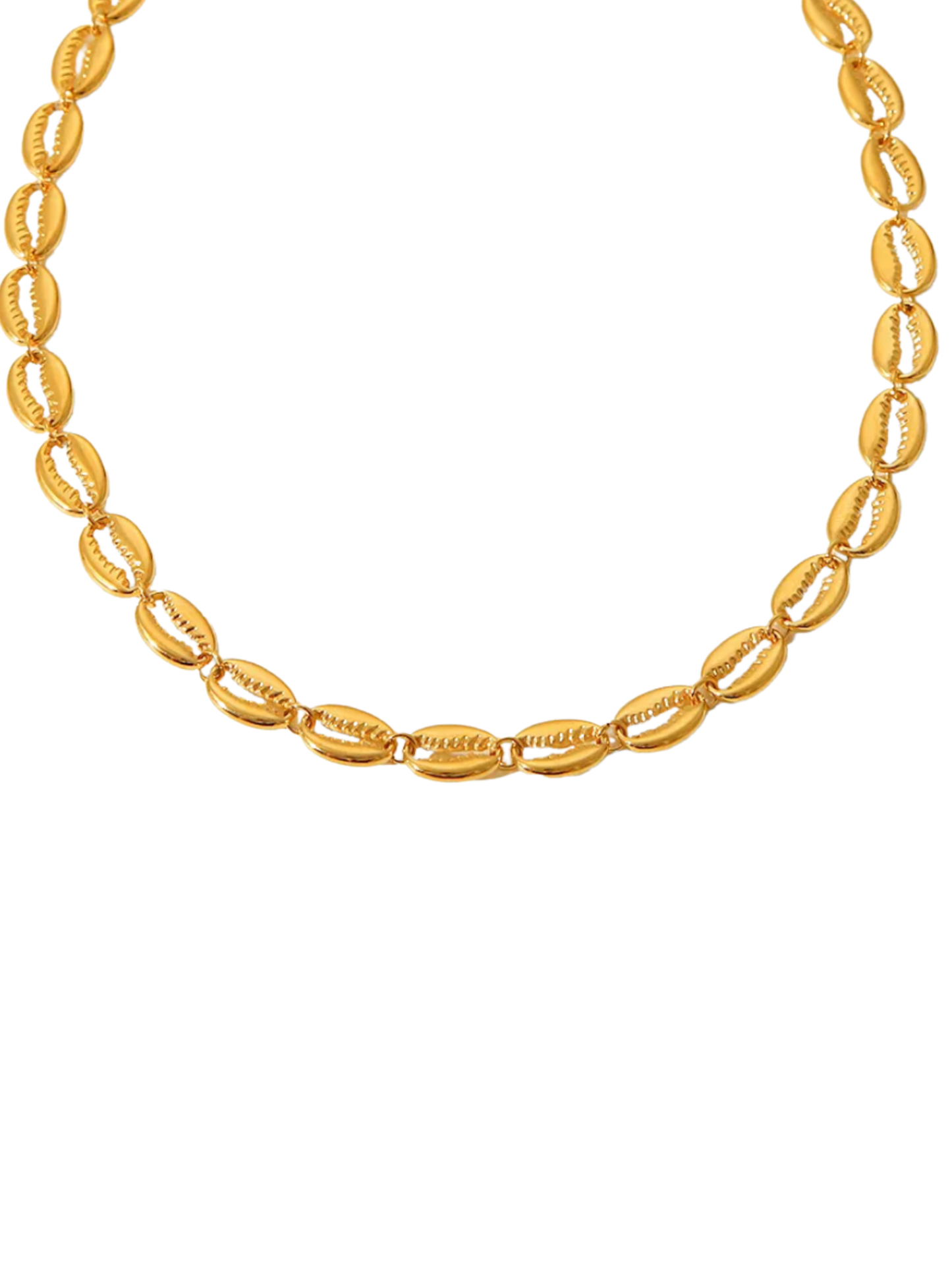 Collar Conchas