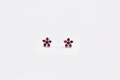 Flores