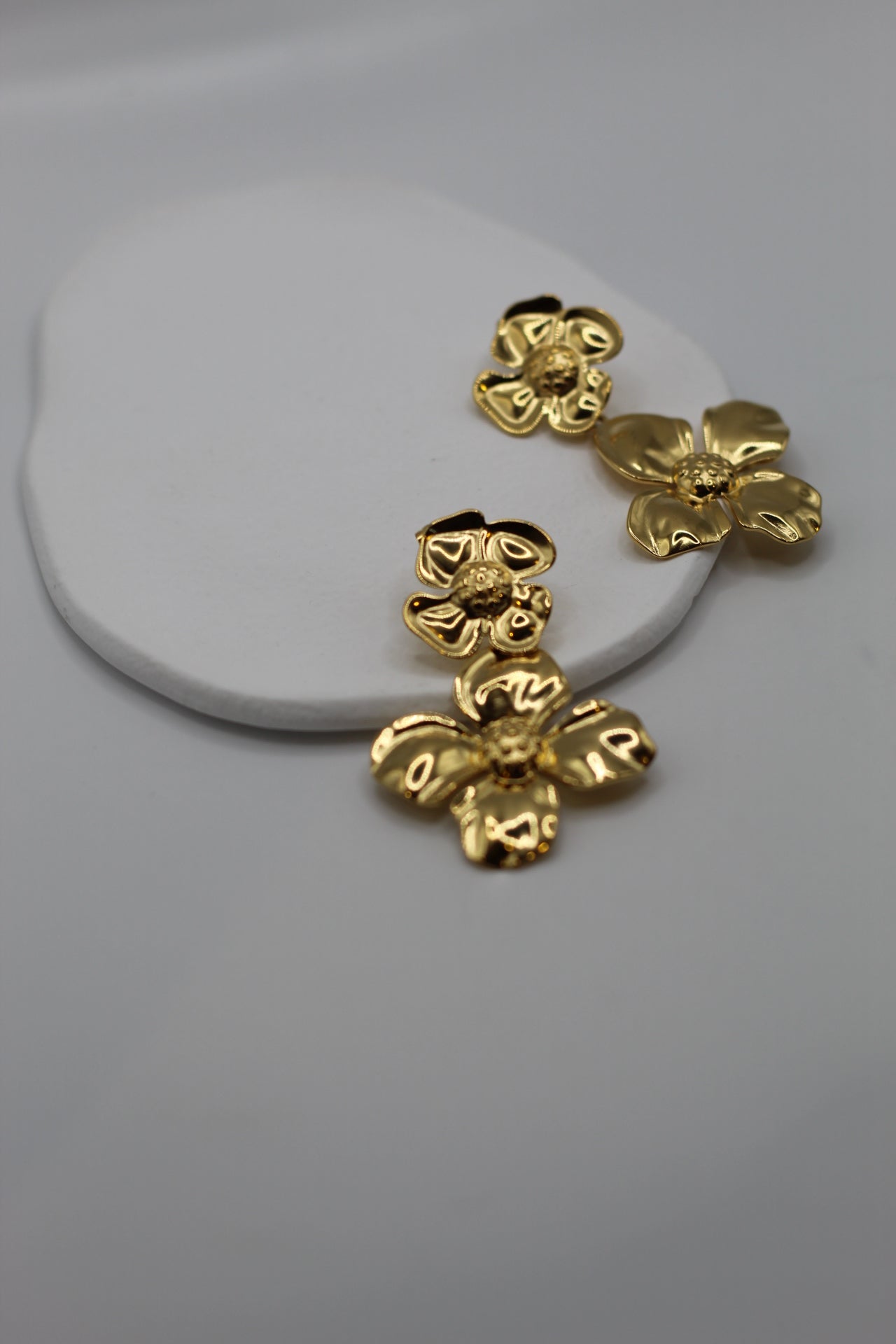 Pendientes Dariana